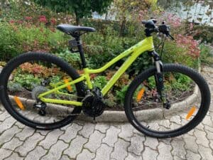 rabljeno žensko gorsko kolo specialized