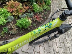 žensko kolo Specialized