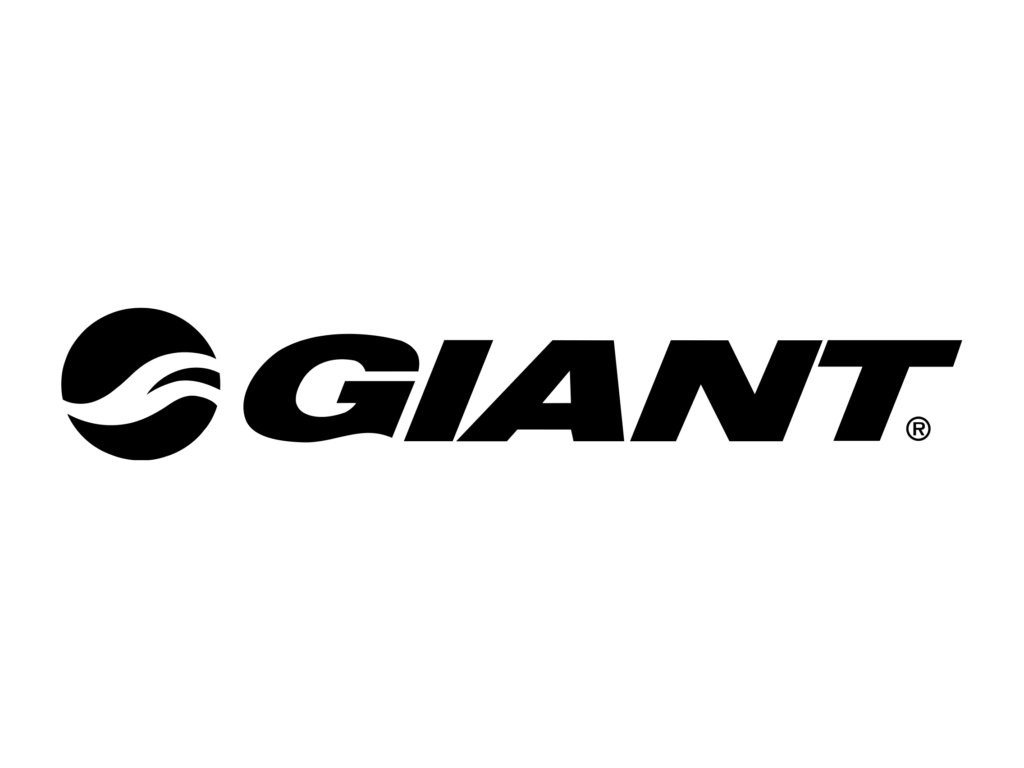Rabljena kolesa Giant